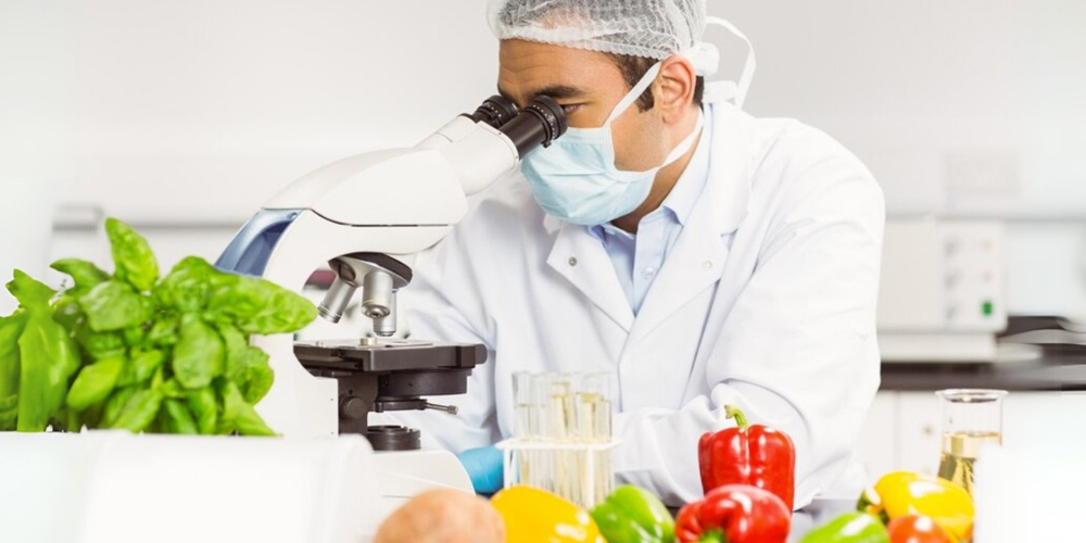 Food safety training in Riyadh – kitchen staff during a food hygiene course